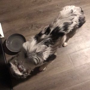 Meet your Posher, Trey